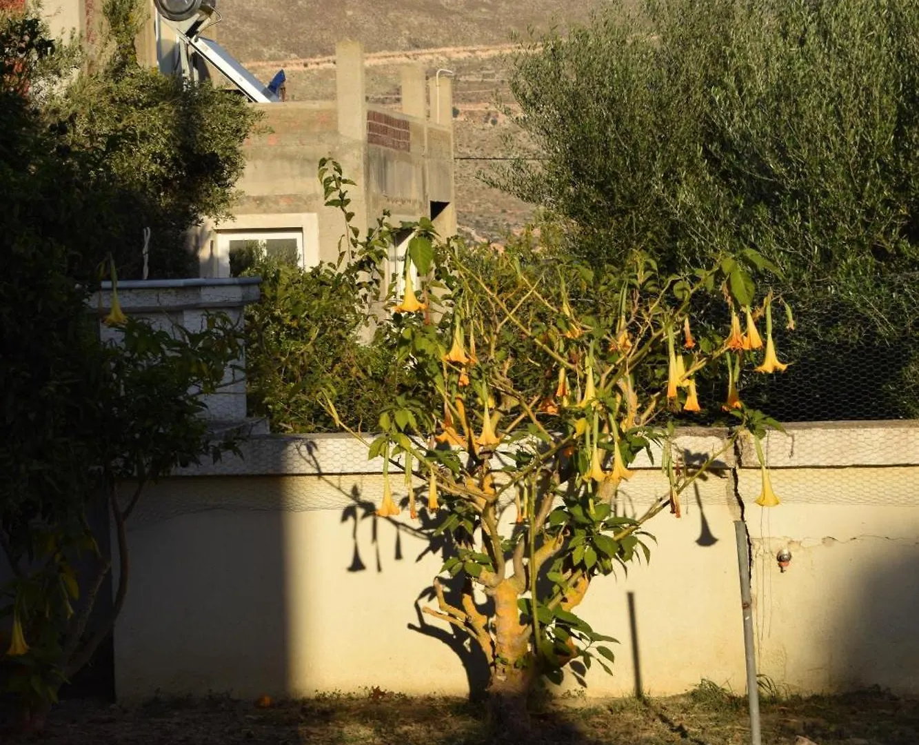 Traditional Apartment In Nature Kouvalata 0*,  Greece
